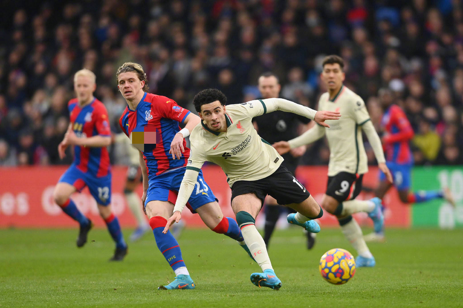 式的精神体 式的精神体