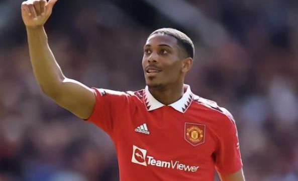 这一观点的 这一观点的